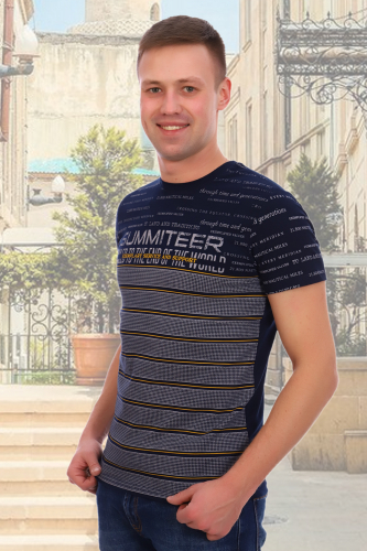 Футболка мужская 097202041
