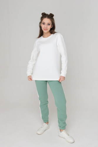 Брюки женские 029501491