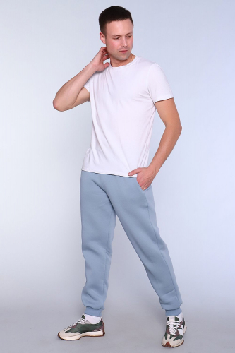 Брюки мужские 099100490