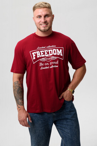 Футболка мужская 000007372