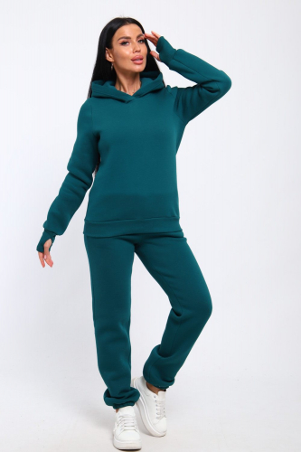 Костюм женский с начесом 000006495